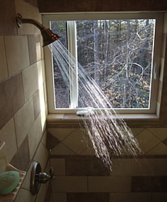 Shower window